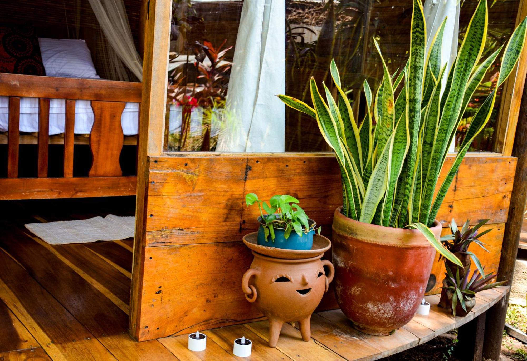 Casa Caracola Hotel Granada Luaran gambar